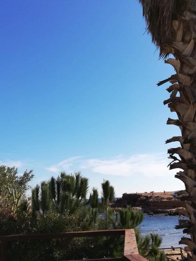 Perfect For Exploring Local Areas And More Torrevieja Buitenkant foto
